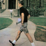 Take Ivy Bermuda shorts